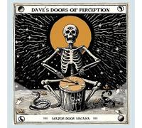 Dave's Doors Of Perception - Major Door Arcana [VINYL]