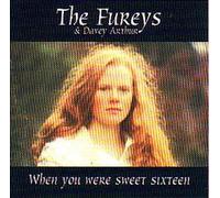 Davey Arthur & The Fureys - When You Were Sweet Sixteen