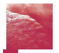 David Allred - The Cell [VINYL]
