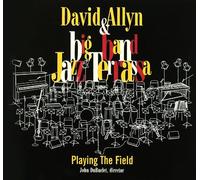 David Allyn & Big Band Jazz Terrassa - Playing the Field