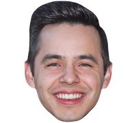 David Archuleta (Smile) Big Head. Larger than life mask.