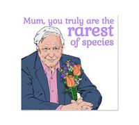 David Attenborough Funny Mother's Day Card, Vegan Card for Mum, Funny Mothers Day Cards, Mother Day Gift, Mother Birthday, Cat Mothers Day