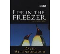 Life in the Freezer – David Attenborough – DVD – BBC
