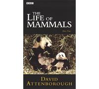 David Attenborough - Life of Mammals Part 2 [VHS]