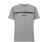 David Attenborough Men's T-Shirt - Gray / M