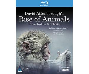 David Attenborough's Rise of Animals: Triumph of the Vertebrates [Blu-ray]