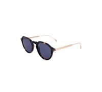 David Beckham DB 1098/S Havana gold 49/23/150 MAN Sunglasses