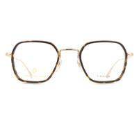 David Beckham DB 1103 Gold havana 49/23/150 MAN Eyewear Frame