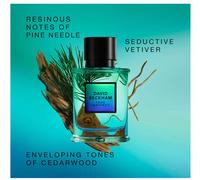 David Beckham True Instinct eau de parfum for men 75 ml