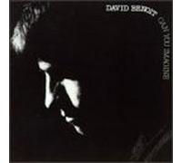 David Benoit - Can You Imagine?