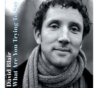 David Blair - What Are You Trying To Say