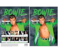 David Bow-ie 2026 Calendar - A3 Size 30 x 42 cm, 12 Months of Great Photography