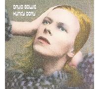 David Bowie DART TEXAS-L Handmax Kevlar Glove, Blue