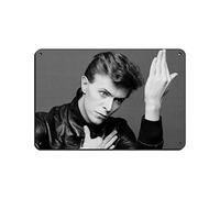 David Bowie Heroes Album Cover Music Poster (3) Tin Sign Vintage Metal Pub Club Cafe Bar Home Wall Art Decoration Poster Retro 8x12inch(20x30cm)