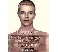 David Bowie Mugshot 11 X 14 - Magnificent 1976 Mug Shot Portrait - Original Artwork - Busted In New York - British Music Icon - Legendary Rock and Roll - Rare Photo - Poster Art Print