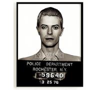 David Bowie Mugshot 8 X 10 - Stunning 1976 Mug Shot Portrait - Original Artwork - New York - Legendary Rock and Roller - Rare Photo - Poster Art Print