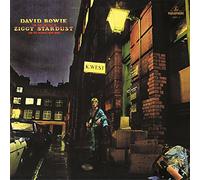 David Bowie The rise and fall of Ziggy Stardust and the spiders from Mars LP multicolor Onesize