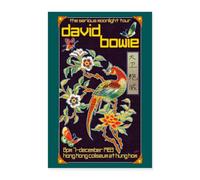David Bowie The Serious Moonlight Tour Poster 16" x 24" (40x60 cm)