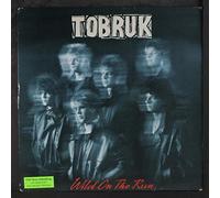 DAVID BOWIE - wild on the run LP