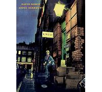 David Bowie "Ziggy Stardust" Canvas Print, Cotton, Multi-Colour, 3.20 x 60.00 x 80.00 cm