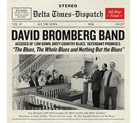 David Bromberg Band - Blues The Whole Blues And Nothing But The Blues - J4z