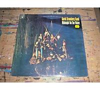 David Bromberg Band - Midnight On The Water [LP]