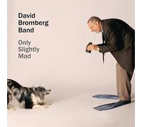David Bromberg Band - Only Slightly Mad