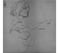 David Bromberg - David Bromberg