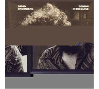 David Bromberg - Demon in Disguise