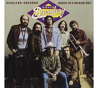 David Bromberg - Reckless Abandon / Bandit in a Bathing Suit