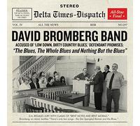 David Bromberg - The Blues The Whole Blues And Nothing But The Blues