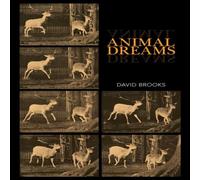David Brooks Animal Dreams Paperback Book David Brooks Multicolor