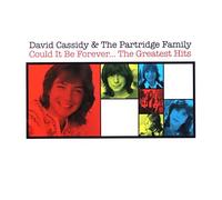 Could It Be Forever - The Greatest Hits