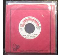 David Cassidy - How Can I Be Sure / Ricky's Tune [Vinyl Single 7'']