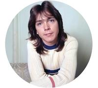 David Cassidy - I Think I Love You - Greatest Hits [VINYL]