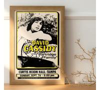 David Cassidy Partridge Family 1971 Concert Tour Live Promo : A Huge 36"x24" Poster Print Vintage Retro : BRING YOUR WALLS TO LIFE ! #2