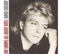 David Cassidy - She knows all about boys [VINYL]