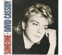 David Cassidy - SOMEONE 7 INCH (7" VINYL 45) UK ARISTA 1985