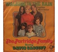 David Cassidy - Walking In The Rain