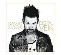 David Cook - Digital Vein