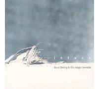 David Darling And The Adagio Ensemble Intune (CD) Album