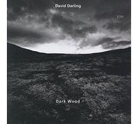 David Darling - Dark Wood