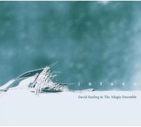 David Darling and the Adagio Ensemble - Intune