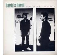 David & David - Swallowed by the cracks (1986) / Vinyl Maxi Single [Vinyl 12'']