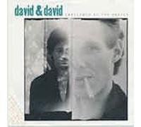 David & David - Swallowed by the cracks (1986) / Vinyl single [Vinyl-Single 7'']