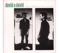 DAVID & DAVID - SWALLOWED BY THE CRACKS 7 INCH (7" VINYL 45) UK A&M 1986