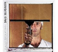David Delabrosse - Le Modele Reduit de Nos Pensees