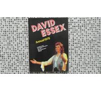 DAVID ESSEX Annual 1978