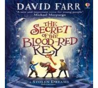 David Farr The Book of Stolen Dreams: The Secret Key Paperback David Farr Multicolor
