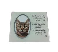 David Fischhoff Cat Memorial Photo Frame in White David Fischhoff White
